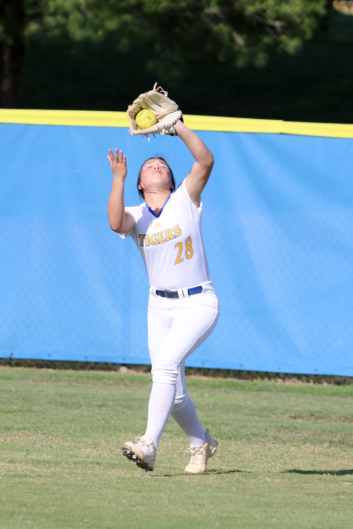 Softball (3) - Copy.jpg